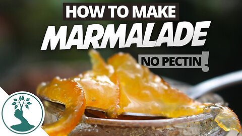 How to Make Your Own Marmalade Jam - NO PECTIN NEEDED! Orange Marmalade Recipe