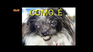 COMO É COMO NÓIS VÊ ! Parte 2 #memes #youtube