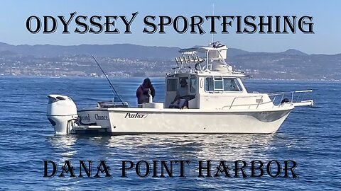 Odyssey Sportfishing Dana Point April 2024