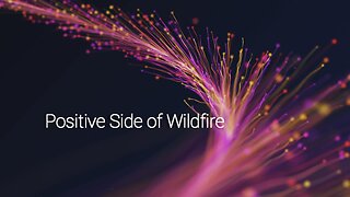 Discover How Wildfires Can Actually Benefit Our Ecosystems