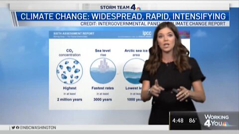 Insane meteorologist Amelia Draper rants about Climate Change because it's hot today