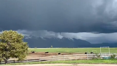 Twister was captured on video as he touched the top of Mt.