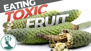 Eating This Fruit Will Hurt You But It Tastes Great! Preparing and Tasting Fruit Salad Plant