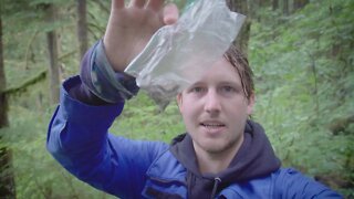 Vlogging a Full Magic Mushroom Trip in the Canadian Rainforest.