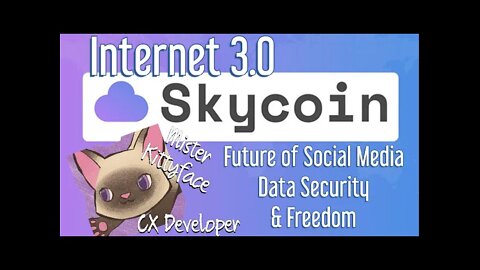 Freedom, Social Media, Internet 3.0 and Skycoin with Mister KittyFace CX Developer Geofffery Kublin