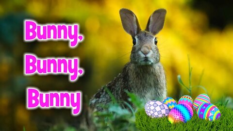 Bunny, Bunny, Bunny (ABBA Easter Parody)