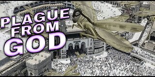 LOCUST INVASION IN MECCA. A BIBLICAL SIGN OF THE END TIMES?