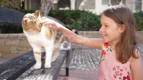 Cute kid girl pats strokes a homeless disabled cat without one paw in Cyprus