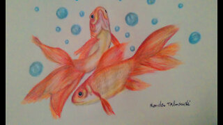 Drawing golden fish,