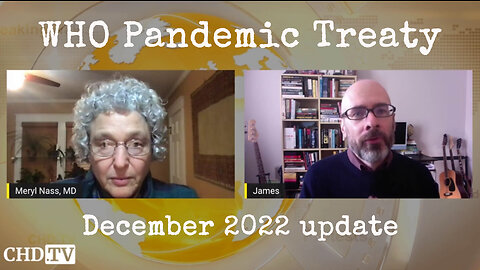 Pandemic Treaty Update - December '22