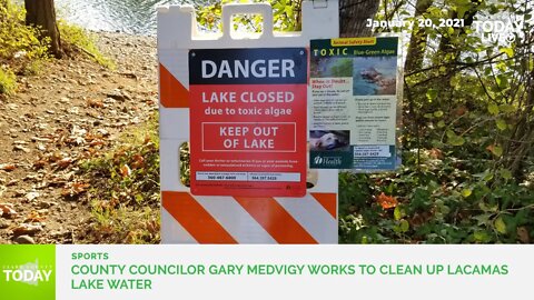 County Councilor Gary Medvigy works to clean up Lacamas Lake water