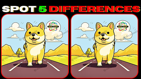 Spot The Difference : TOO Hard TOO Find [ Find The Difference #34]