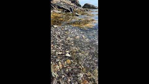 Kennebunkport on the water