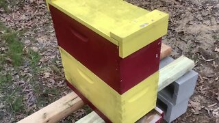 Swarm trapping—A new Idea... I’ll try it!