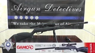 Gamo Hornet Maxxim IGT CAT .177 Air Rifle "Complete Review" by Airgun Detectives