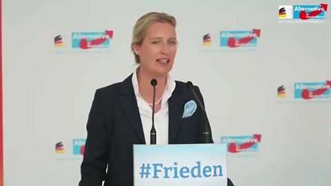 Auszug aus Weidels Pressekonferenz