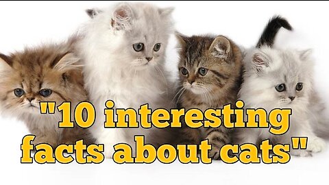 10 interesting facts about cats