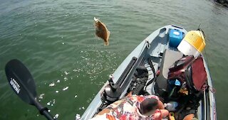 Johnny bass 100 out in Rudee Inlet VA