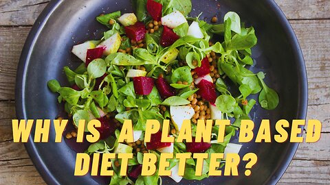 Why is a Plant Based Diet Better?