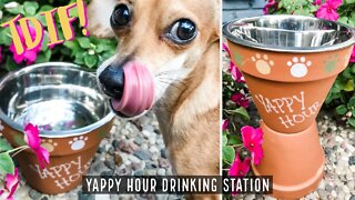 How to make a Yappy Hour Doggie Drinking Station