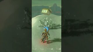 Blended In Chest In Legend of Zelda Breath of The Wild #shorts