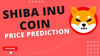 Shiba Inu Coin Price Prediction Austin Hilton Reaction Video