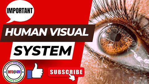 The Visual System |How Your Eyes Work |Structure of the Human Visual System