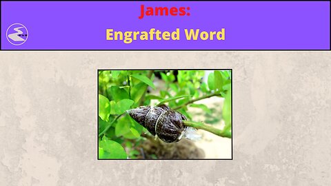 James: Engrafted Word