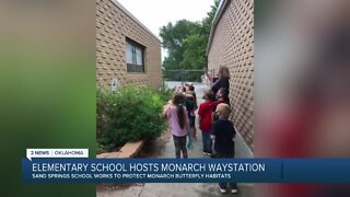 Elementary school hosts monarch waystation