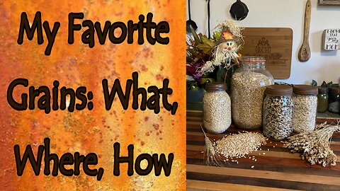 Favorite Grains, Where I Buy and How I Store