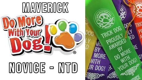 Do More With Your Dog - Maverick's Novice Dog Tricks - NTD