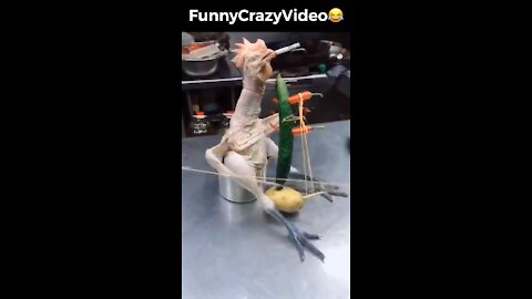Mr FunnyCrazyVideo😂 Just Incredible Video Funny and Crazy #Like Follow for Follow 🥰