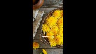 3 Traditional Uses for Dandelion