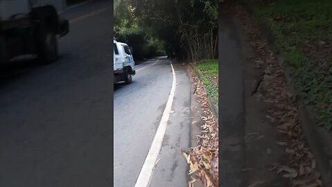 INICIO DO TUNEL DE BAMBU EM MORUNGABA SÃO PAULO TUNEL JOÃO DAMÁSIO PLACA PREFEITURA E GOVERNO SP