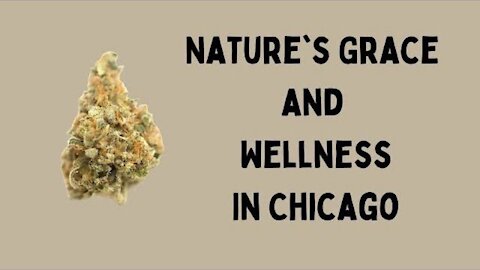 Mandarin Cookies from Natures Grace and Wellness in Chicago