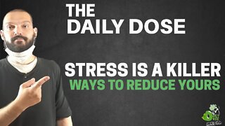 How Do You React When Under Stress The Many behaviors We Manifest And The Ways To Reduce It