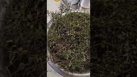 THYME for health