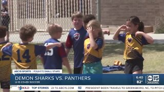 Fouhy's Small Stars: Demon Sharks vs. Panthers