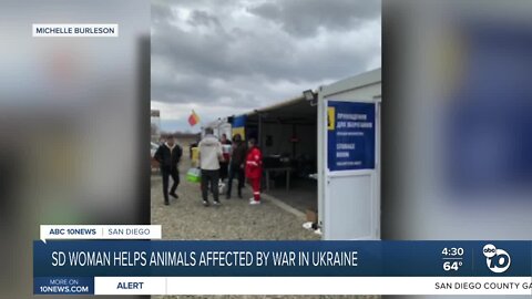 SD woman helps animals affected by war in Ukraine