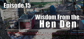 Wisdom From the Hen Den (s1e15) - No Chicken, No Egg