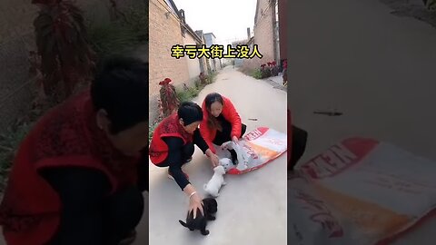 Best Funny Videos 2022, Chinese Funny clips daily #shorts