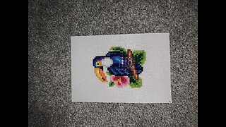 creating diamond art - TOUCAN