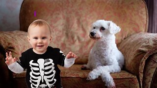 Pets At Home | Safety Tips for Kids at Home