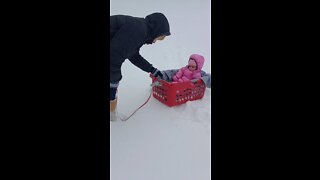 Baby goes sledding for the first time Falls Out!!!
