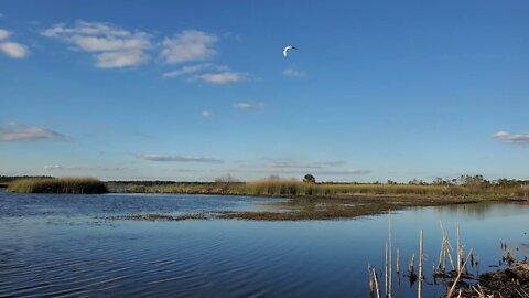 Bird Watching at the East River Pool in St Marks NWR Sunset - Winter 2022