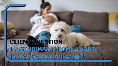 Client Question: I Just Brought Home A Baby, Is My Dog Starting To Guard Me?