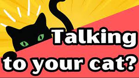 Does Your Cat Understand You?