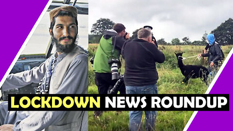 Lockdown News Roundup / Alpaca XR / Hugo Talks #lockdown