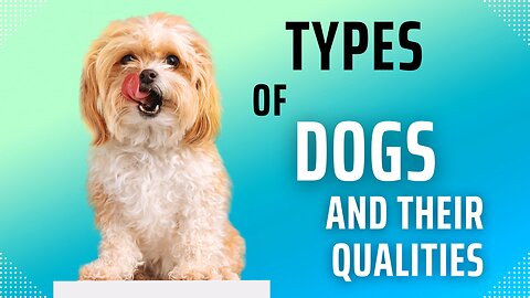 Types of dogs