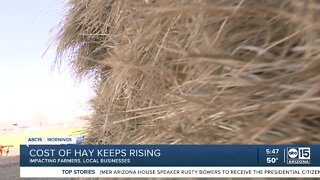 Cost of hay continues to rise, impacting farmers and local businesses